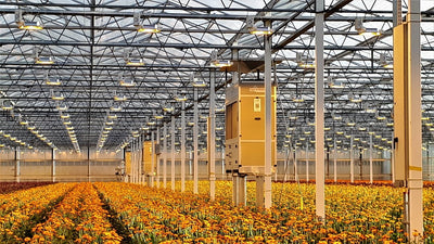 5 Tips for Greenhouse Climate Control During the Cold Season by DryGair Energies Ltd