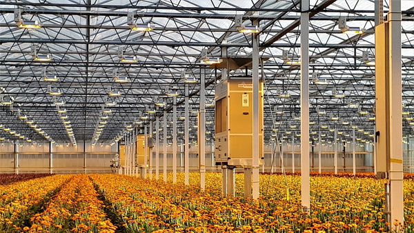 5 Tips for Greenhouse Climate Control During the Cold Season by DryGair Energies Ltd